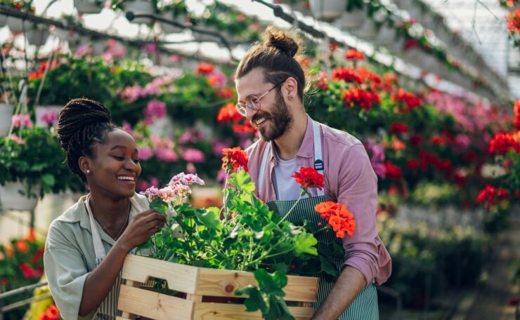 Multiracial couple of gardeners working in a greenhouse